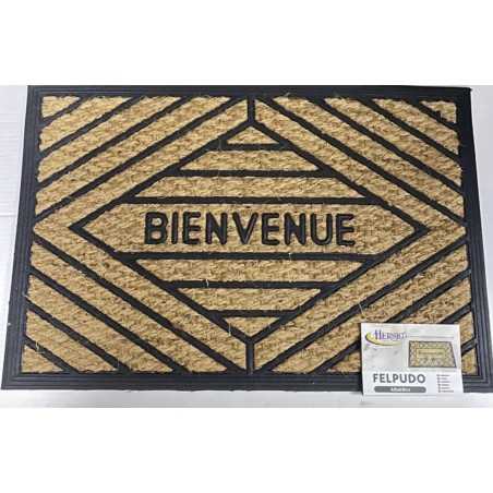 TAPIS PAILLASSON BIENVENUE