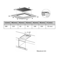 Domino induction manette schneider auto-stop 30mn